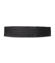 Silk Cummerbund